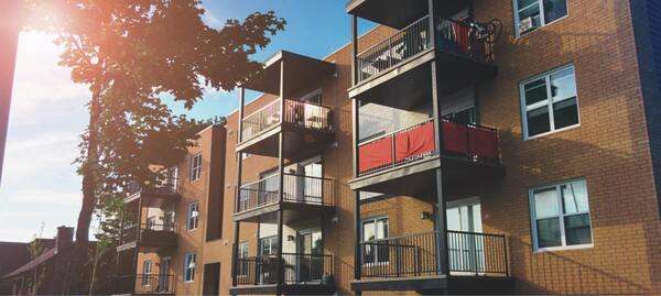 Prijeten balkon z zelenimi rastlinami in naravno svetlobo